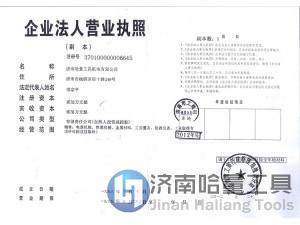 Business License